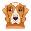 پیش‌نمایش فایل hound-12507261 از پک سگ
