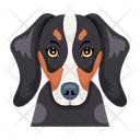 پیش‌نمایش فایل hound-12507264 از پک سگ