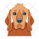پیش‌نمایش فایل hound-12507265 از پک سگ