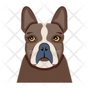 پیش‌نمایش فایل hound-12507266 از پک سگ