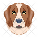 پیش‌نمایش فایل hound-12507296 از پک سگ