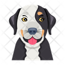 پیش‌نمایش فایل hound-12507298 از پک سگ
