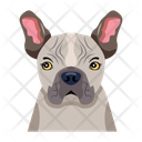 پیش‌نمایش فایل hound-12507299 از پک سگ