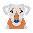 پیش‌نمایش فایل hound-12507302 از پک سگ