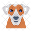 پیش‌نمایش فایل puppy-12507260 از پک سگ