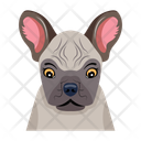 پیش‌نمایش فایل puppy-12507282 از پک سگ