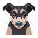 پیش‌نمایش فایل puppy-12507284 از پک سگ