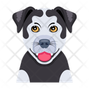 پیش‌نمایش فایل puppy-12507286 از پک سگ