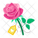 پیش‌نمایش فایل pink-rose-12423674 از پک استیکرهای کارتونی گل رز