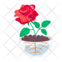 پیش‌نمایش فایل red-rose-12423676 از پک استیکرهای کارتونی گل رز
