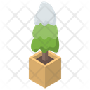 پیش‌نمایش فایل christmas-tree-1644905 از پک کریسمس