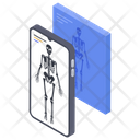 پیش‌نمایش فایل digital-x-ray-scan-1649128 از پک واقعیت افزوده