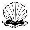 پیش‌نمایش فایل seashell-14048498 از پک تابستان و تعطیلات