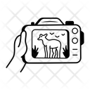 پیش‌نمایش فایل wild-photography-14048521 از پک تابستان و تعطیلات