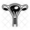 پیش‌نمایش فایل uterus-14146698 از پک پزشکی