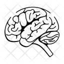 پیش‌نمایش فایل brain-14252346 از پک علم