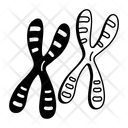 پیش‌نمایش فایل chromosomes-14252296 از پک علم