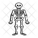 پیش‌نمایش فایل skeleton-14252344 از پک علم