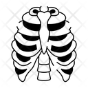 پیش‌نمایش فایل rib-cage-14603980 از پک پزشکی
