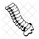 پیش‌نمایش فایل spine-14604004 از پک پزشکی