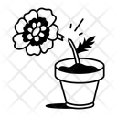 پیش‌نمایش فایل broken-flower-14667374 از پک مکزیکی