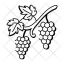 پیش‌نمایش فایل grapevine-14763278 از پک پاییز
