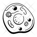 پیش‌نمایش فایل animal-cell-14780001 از پک زیست‌شناسی