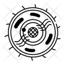 پیش‌نمایش فایل human-nucleus-14938143 از پک کالبدشناسی