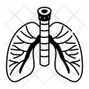 پیش‌نمایش فایل lungs-14938157 از پک کالبدشناسی