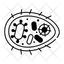 پیش‌نمایش فایل parietal-cell-parietal-cell-14938131 از پک کالبدشناسی