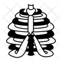 پیش‌نمایش فایل rib-cage-14938179 از پک کالبدشناسی