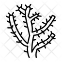 پیش‌نمایش فایل thorn-bush-15558753 از پک طبیعت