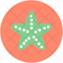 پیش‌نمایش فایل starfish-5 از پک تابستان و سفر