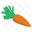 پیش‌نمایش فایل carrot-vegetable-1860685 از پک مراقبت بهداشتی و پزشکی