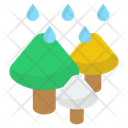 پیش‌نمایش فایل rain-in-forest-1865236 از پک آب و هوا
