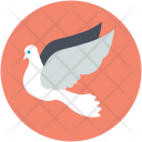 پیش‌نمایش فایل pigeon-1 از پک عشق و عاشقی