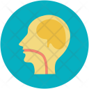 پیش‌نمایش فایل brain-90 از پک پزشکی