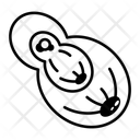 پیش‌نمایش فایل cell-division-15868003 از پک بیوتکنولوژی