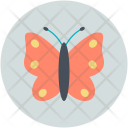 پیش‌نمایش فایل butterfly-41 از پک طراحی و توسعه