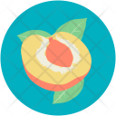 پیش‌نمایش فایل apricot از پک غذا ۲