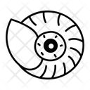 پیش‌نمایش فایل spiral-shell-16098148 از پک موزه