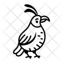 پیش‌نمایش فایل quail-16246433 از پک پرنده