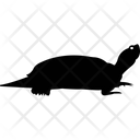 پیش‌نمایش فایل turtle-2215585 از پک حیوانات