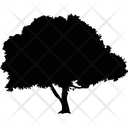 پیش‌نمایش فایل bushy-tree-2217839 از پک درختان (گلیف) ۳