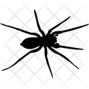 پیش‌نمایش فایل web-spider-2215682 از پک حیوانات جلد ۹