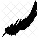 پیش‌نمایش فایل filled از پک پرها
