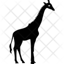 پیش‌نمایش فایل giraffe-2214969 از پک حیوانات جلد ۵