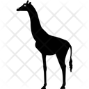پیش‌نمایش فایل giraffe-2214570 از پک حیوانات جلد ۲