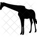 پیش‌نمایش فایل giraffe-2214584 از پک حیوانات جلد ۲