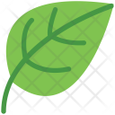 پیش‌نمایش فایل leaf-78 از پک غذا